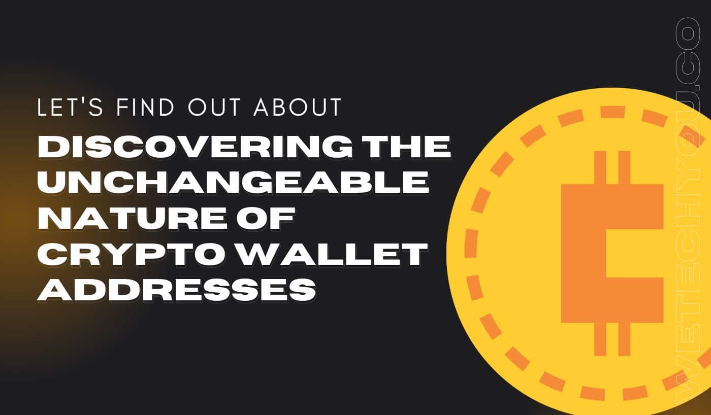 Discovering the Unchangeable Nature of Crypto Wallet Addresses