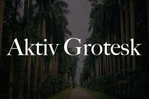 Aktiv Grotesk